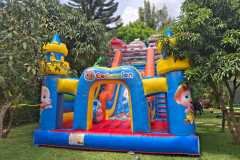 WhatsApp-Image-2026-01-15-at-18.33.27-1