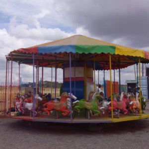 Carousel Merry-Go-Rounds
