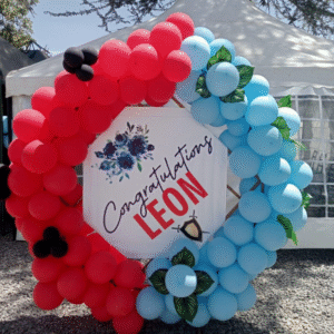 Tents, Chairs & Balloon Decor