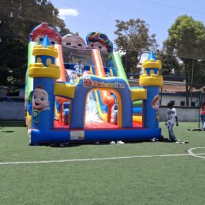 Giant Dry Slides & Bouncing Castles